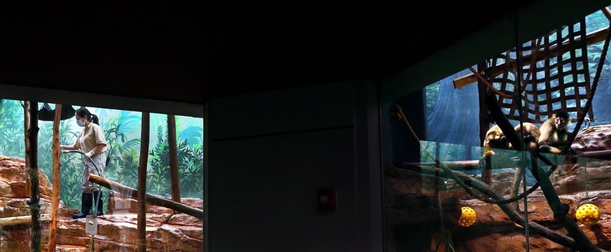A celebration of zookeepers